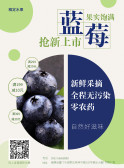 模板缩略图