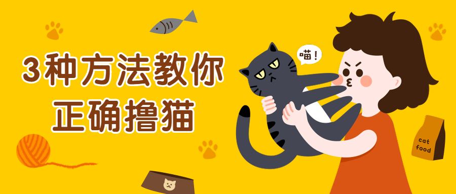 撸猫教程攻略手绘卡通公众号首图预览效果
