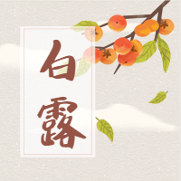 白露二十四节气公众号次图预览效果