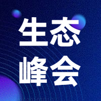 互联网生态峰会次图预览效果