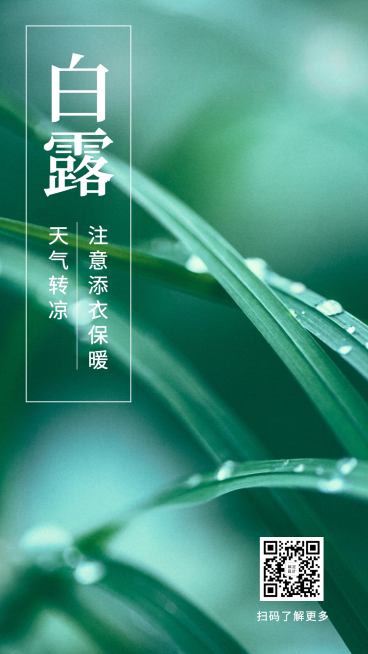 白露二十四节气实景手机海报预览效果