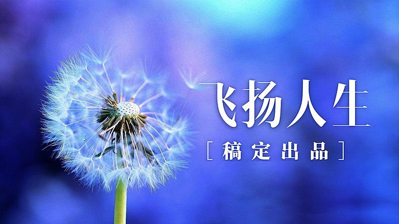 飞扬人生横版视频封面