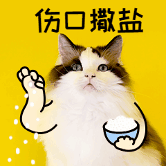 搞笑社交调侃朋友猫咪宠物GIF动图表情包