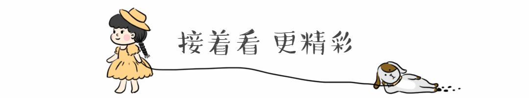 女孩遛狗创意可爱动态分割线分隔符预览效果