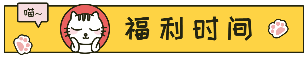 福利时间到互动活动动态分割线分隔符预览效果