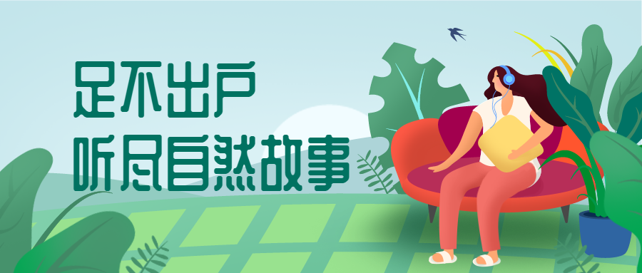 足不出户听尽自然故事公众号首图预览效果