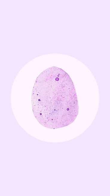 Purple Background White Circular Purple Nail Art Simple Style Instagram Highlight预览效果