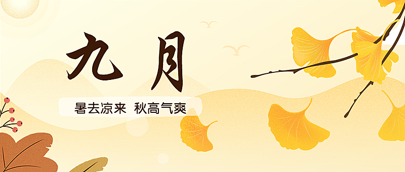 立秋小清新公众号首图