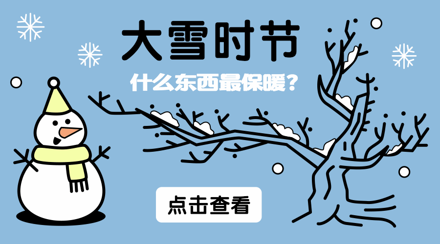 大雪节气手绘简约创意动态横版海报预览效果