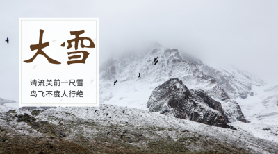大雪二十四节气实景横版海报