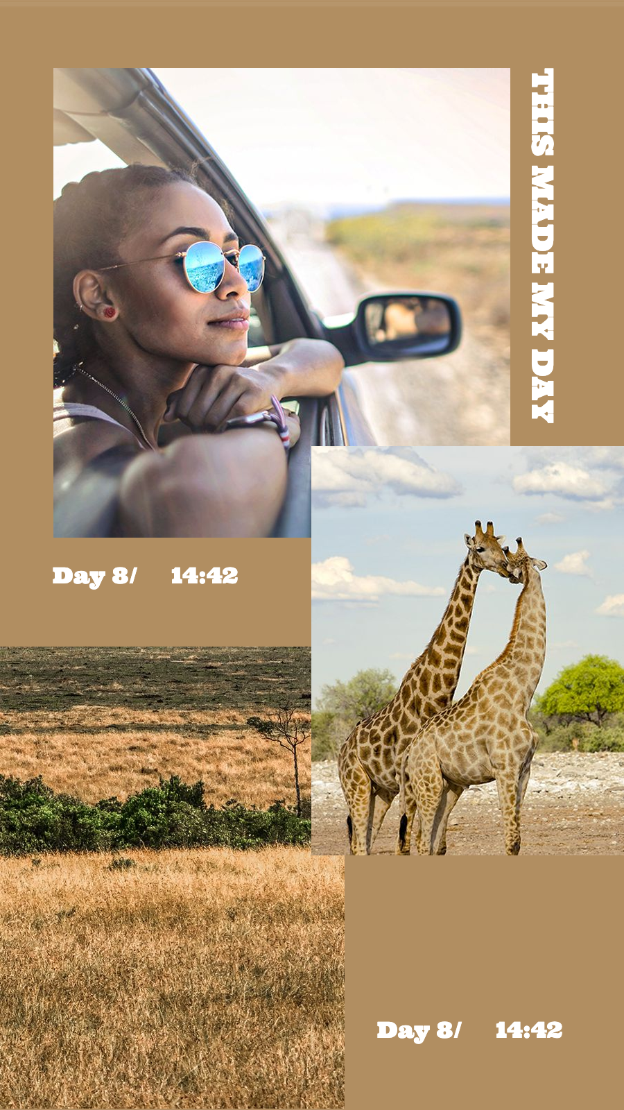 Grassland Safari Tourist Photo with Giraffes Instagram Story预览效果
