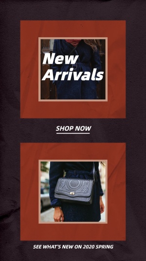Simple Fresh Ladies Bag Spring New Arrival Instagram Story