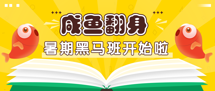 锦鲤/咸鱼/暑期公众号首图预览效果