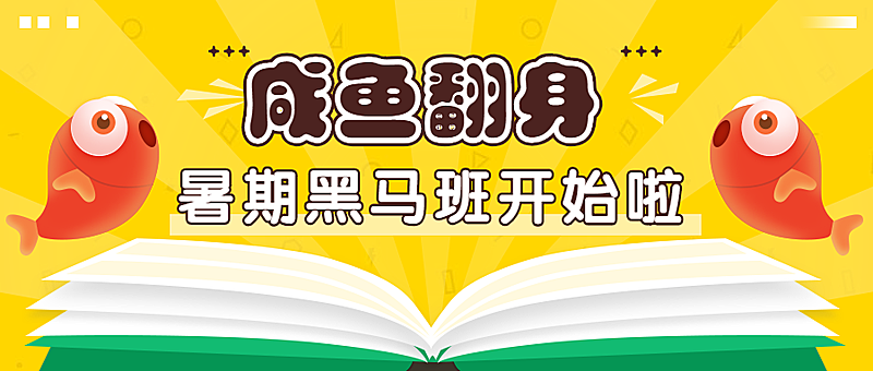 锦鲤/咸鱼/暑期公众号首图