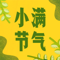 小满二十四节气公众号次图预览效果