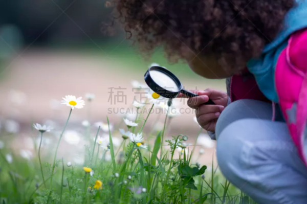 哪里有动植物图片素材?有关多肉植物图片分享