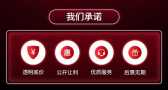 模板缩略图