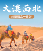模板缩略图