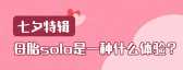 模板缩略图
