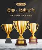 模板缩略图