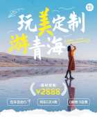 模板缩略图