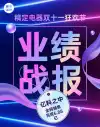 年度总结报告