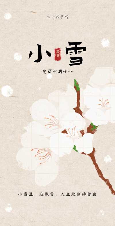 H5翻页清新淡雅低饱和度温柔小雪节气知识科普祝福问候贺卡