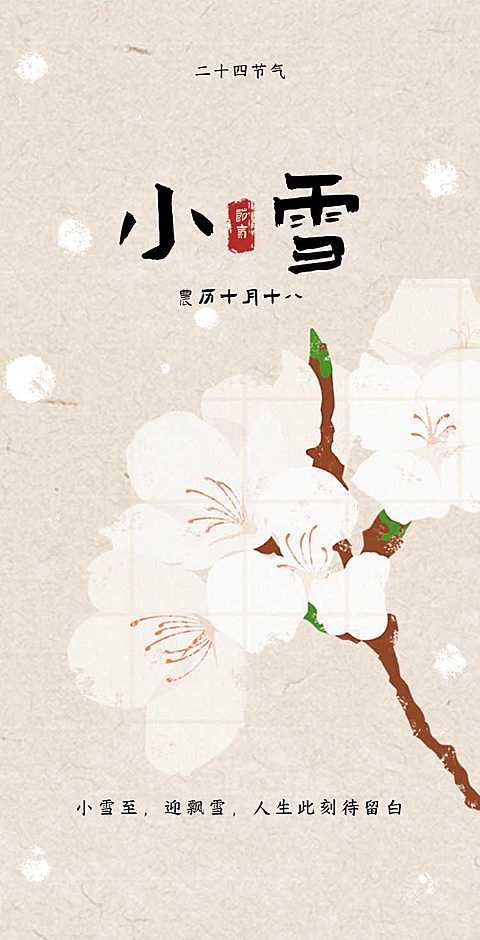 H5翻页清新淡雅低饱和度温柔小雪节气知识科普祝福问候贺卡