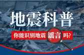 模板缩略图