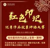 模板缩略图