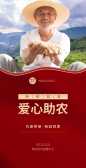 模板缩略图