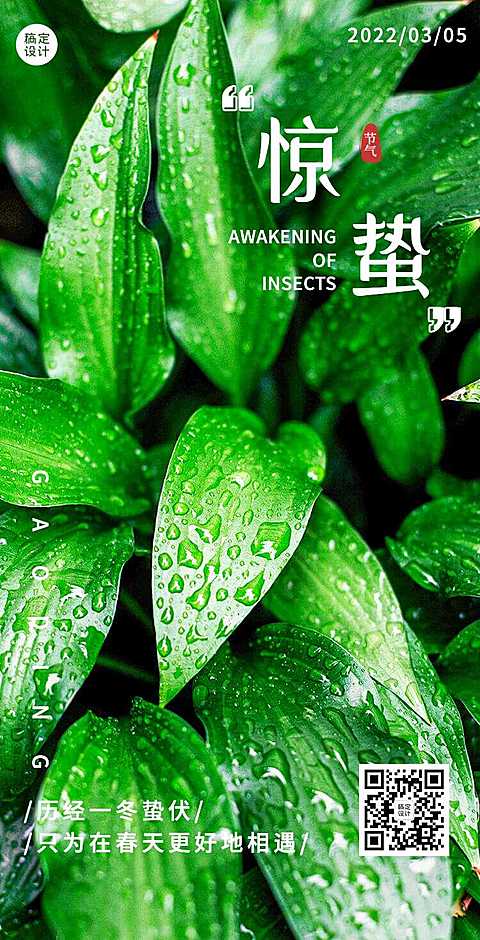 H5翻页二十四节气惊蛰节气祝福习俗介绍企业宣传绿色清新
