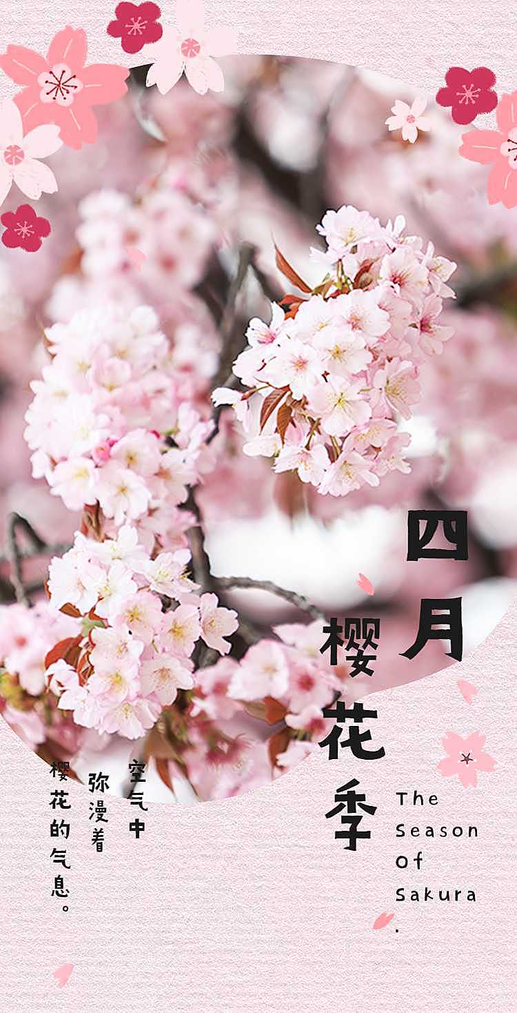 H5翻页樱花季问候祝福贺卡日签