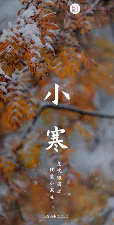 H5翻页梅花树枝小寒节气祝福问候