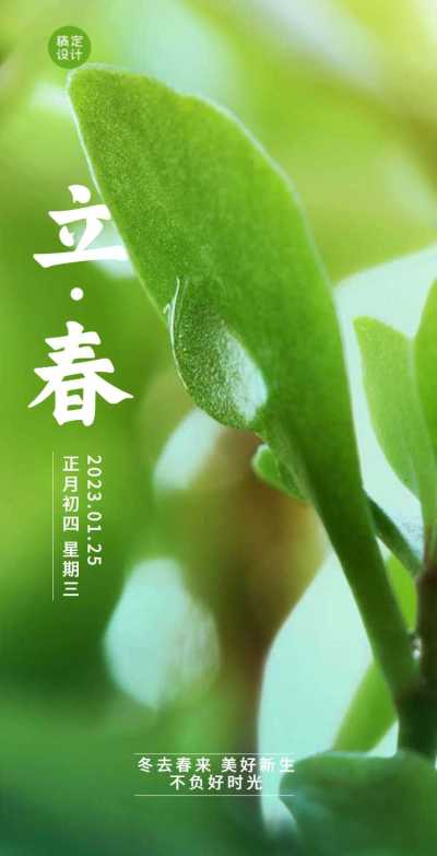 H5翻页教育培训2022立春节气祝福问候