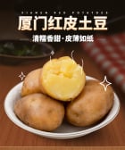 模板缩略图