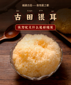 模板缩略图