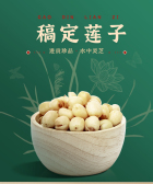 模板缩略图