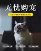 模板缩略图