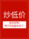 模板缩略图