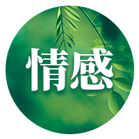 每日文摘简约时尚实景首图套装