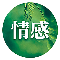 每日文摘简约时尚实景首图套装
