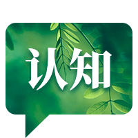 每日文摘实景首图套装