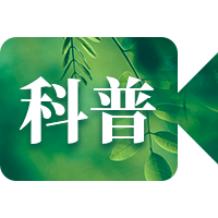 每日文摘简约时尚实景首图套装预览效果