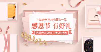 感恩节温馨简约女包海报banner
