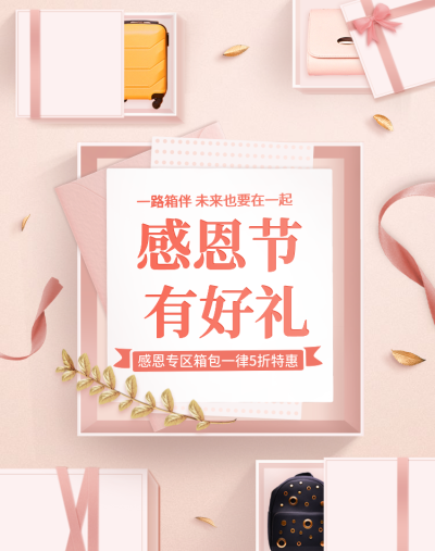 感恩节温馨简约女包海报banner