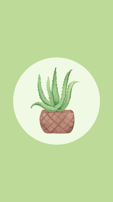 Aloe Simple Green Design Instagram Highlight预览效果
