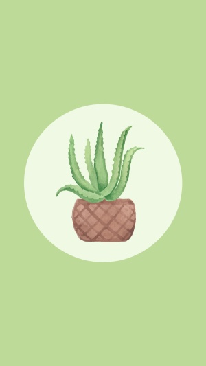 Aloe Simple Green Design Instagram Highlight