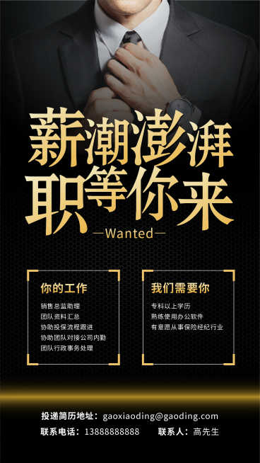 金融保险薪潮澎湃招聘增员商务风手机海报预览效果