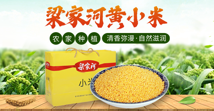 食品粮油小米海报预览效果